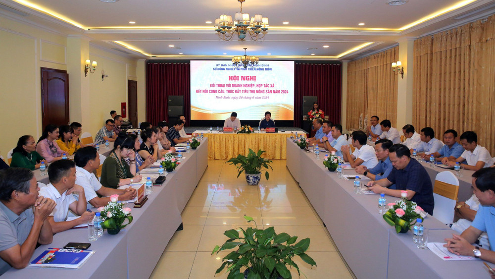 Sản phẩm thủ công mỹ nghệ từ cói Kim Sơn, Ninh Bình