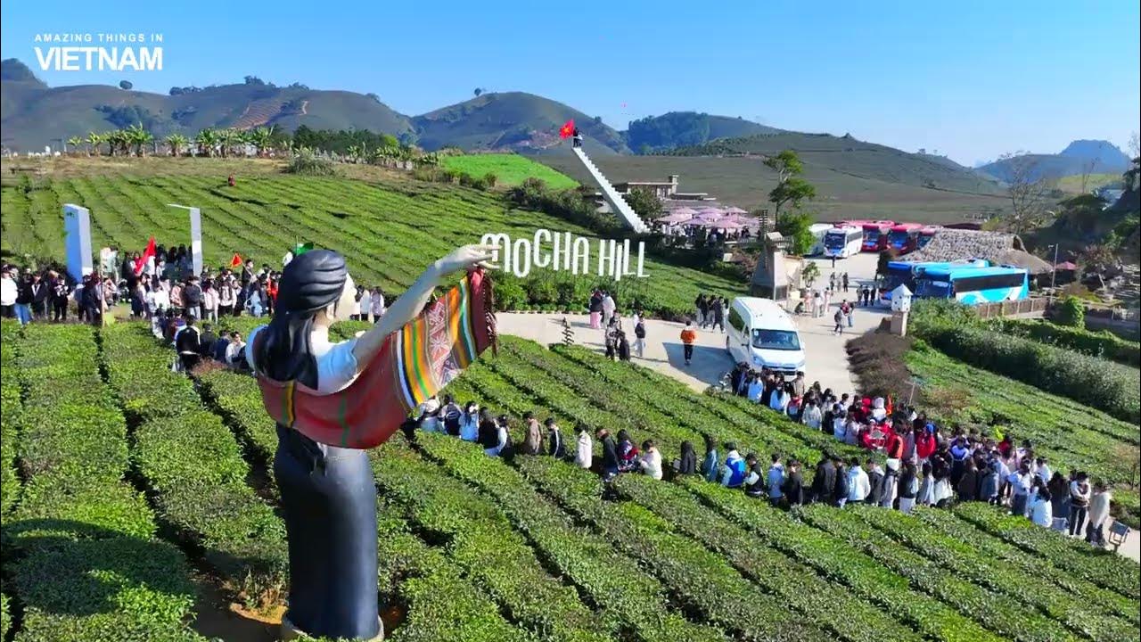 Khu du lịch sinh thái Mochahill ở Mộc Châu